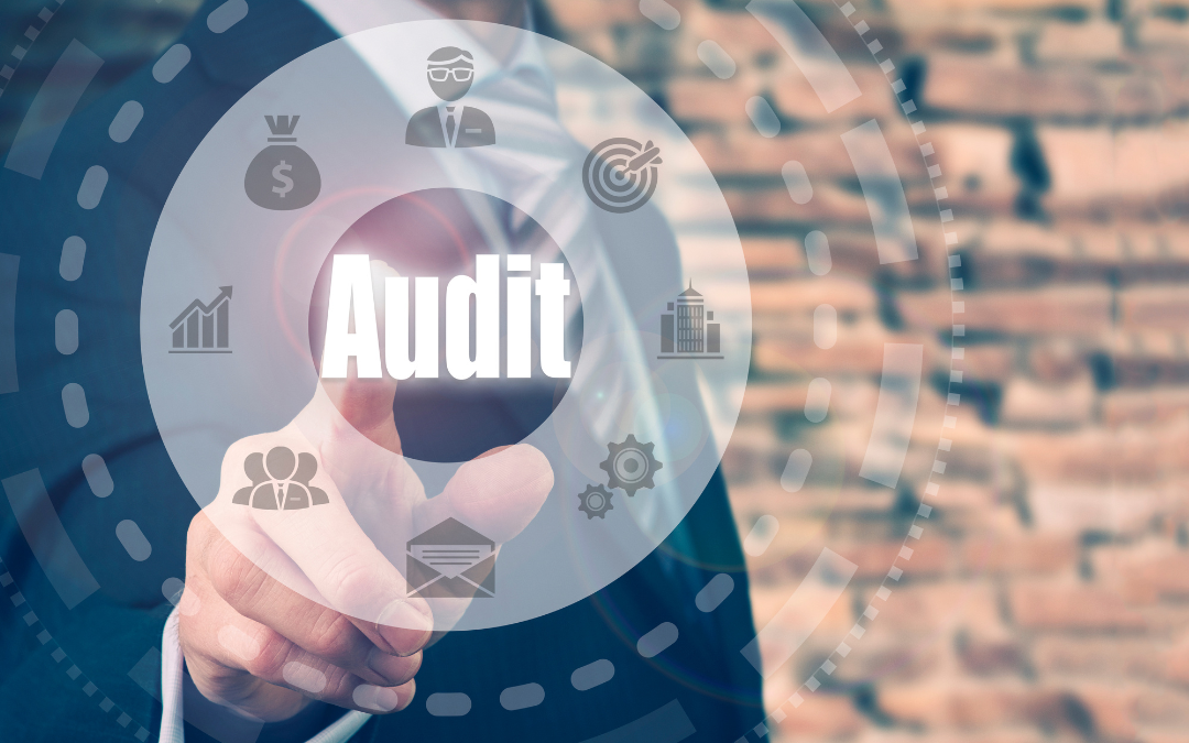 Types of Businesses That Use Audit Firms in South Africa and Why They Use Them